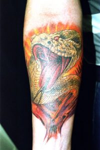 pantera snake tattoo Tauranga New Zealand