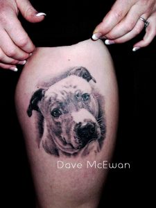 dog portrait tattoo Tauranga New Zealand