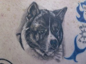 husky portrait tattoo Tauranga New Zealand