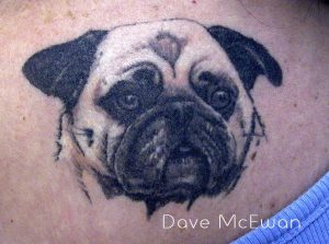 dog portrait tattoo Tauranga New Zealand