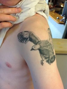 Duck Tattoo New Zealand