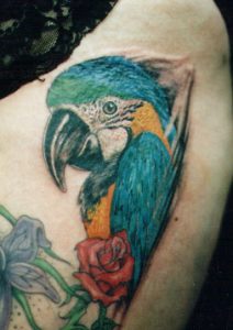 parrot tattoo Tauranga New Zealand