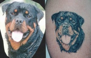 dog portrait tattoo Tauranga New Zealand