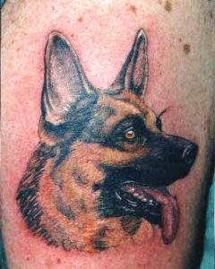 dog pet portrait tattoo Tauranga New Zealand